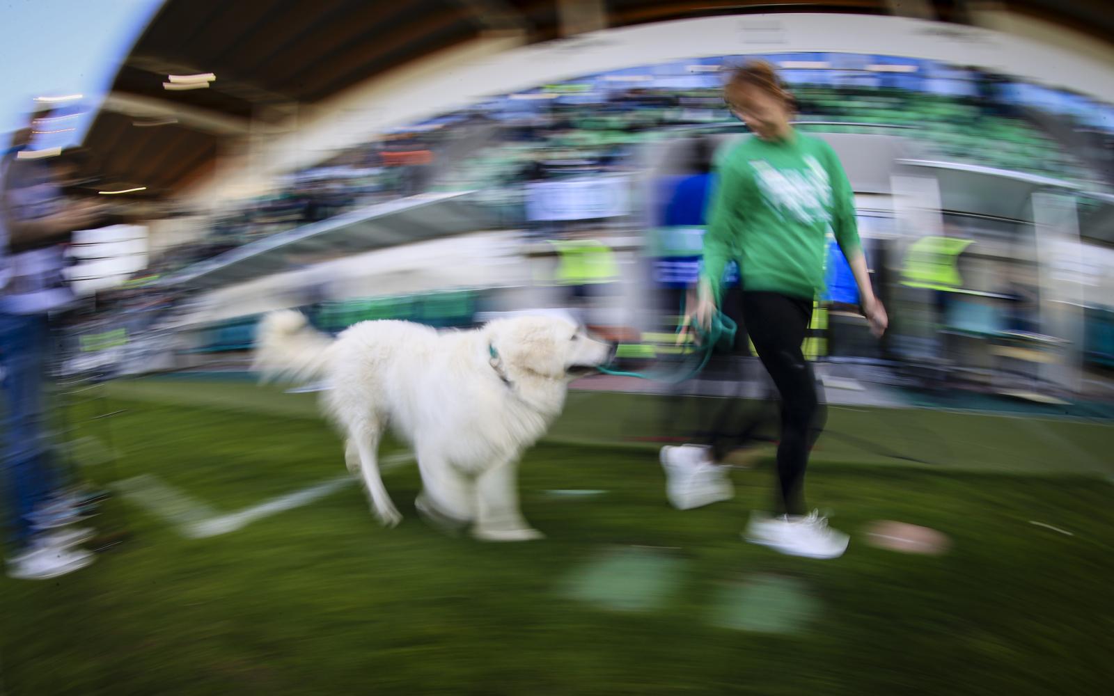 PaksiFC KazincbarcikaFC 11 PaksiFC KazincbarcikaFC 11